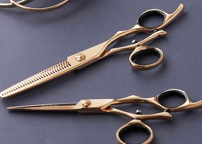 Sacoches de Coiffeur